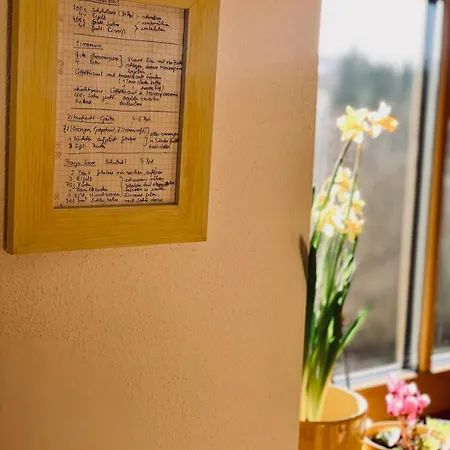 Sunny 100 Sqm Family With Alpine Views 米斯巴赫