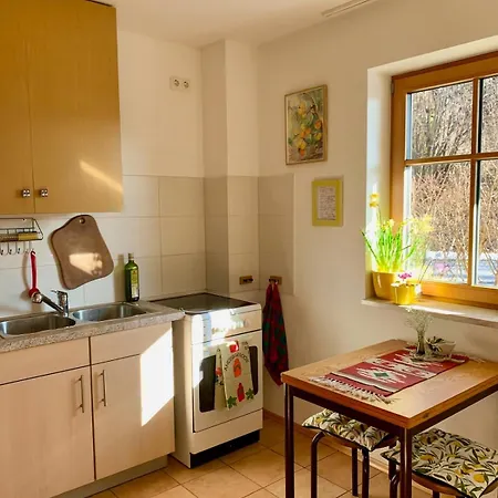 公寓 Sunny 100 Sqm Family With Alpine Views 米斯巴赫