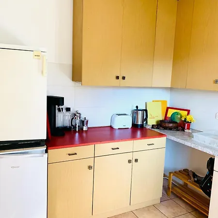 公寓 Sunny 100 Sqm Family With Alpine Views 米斯巴赫
