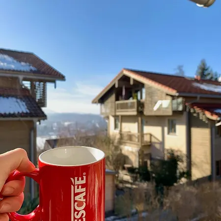 Sunny 100 Sqm Family With Alpine Views Apartmán Miesbach