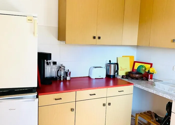 公寓 Sunny 100 Sqm Family With Alpine Views 米斯巴赫
